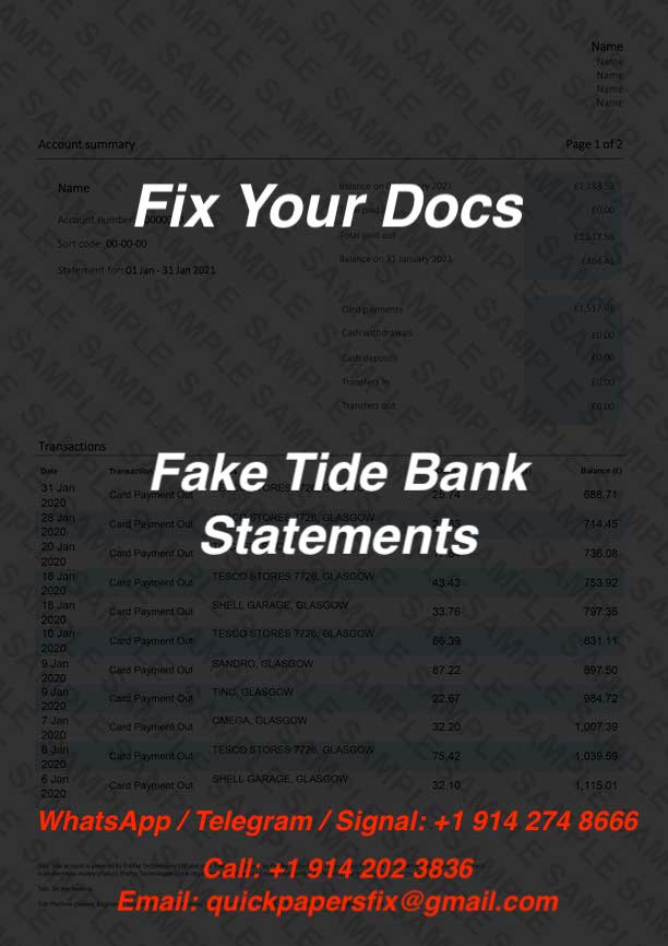 fake tide bank statement